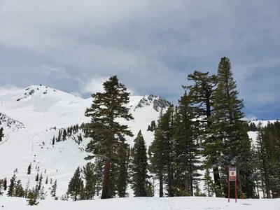 20190517_121220 (Large).jpg